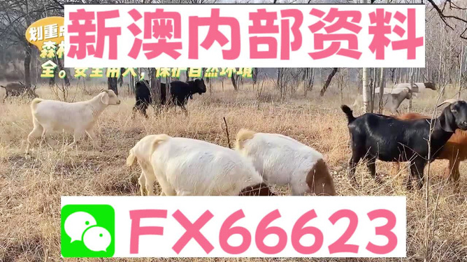 新澳天天開獎(jiǎng)資料大全62期,最新動(dòng)態(tài)方案_經(jīng)典版15.559