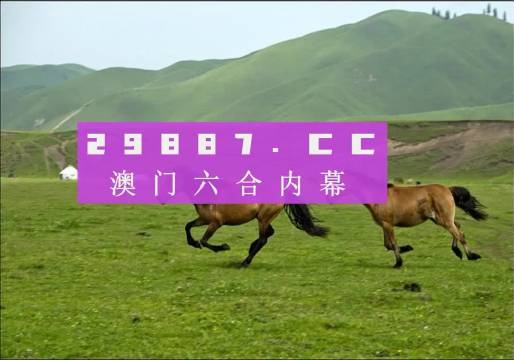 2024澳門精準(zhǔn)正版生肖圖,實(shí)地方案驗(yàn)證策略_HT25.393