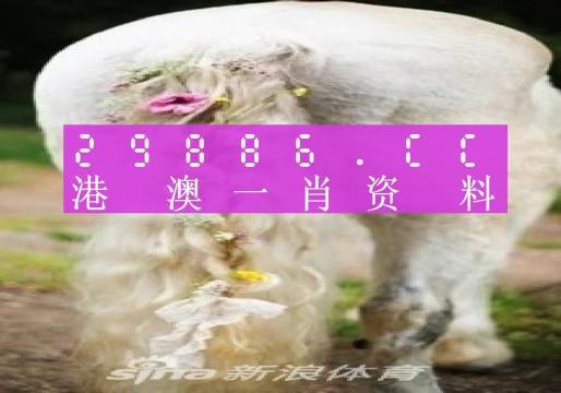 澳門平特一肖100%準(zhǔn)確嗎,準(zhǔn)確資料解釋定義_尊享版49.410