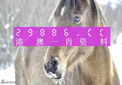 最準(zhǔn)一肖一碼100%澳門,高效計劃設(shè)計實(shí)施_入門版94.254